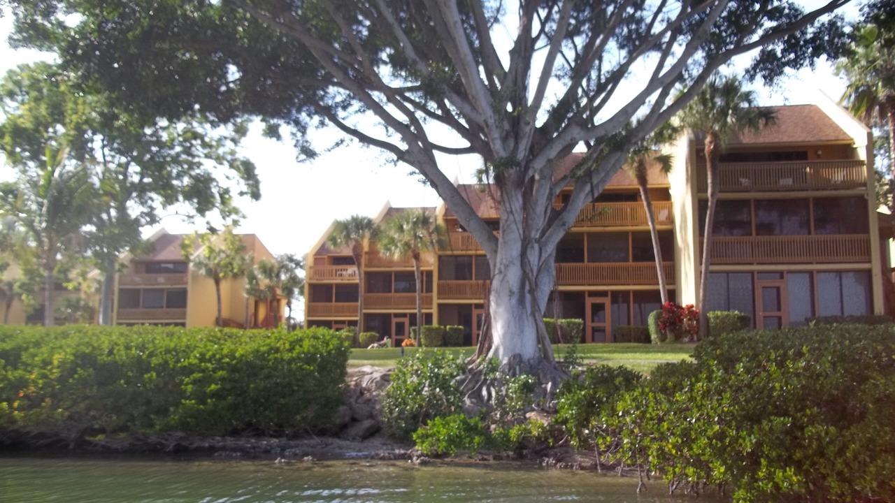 Photo of Others in Siesta Key