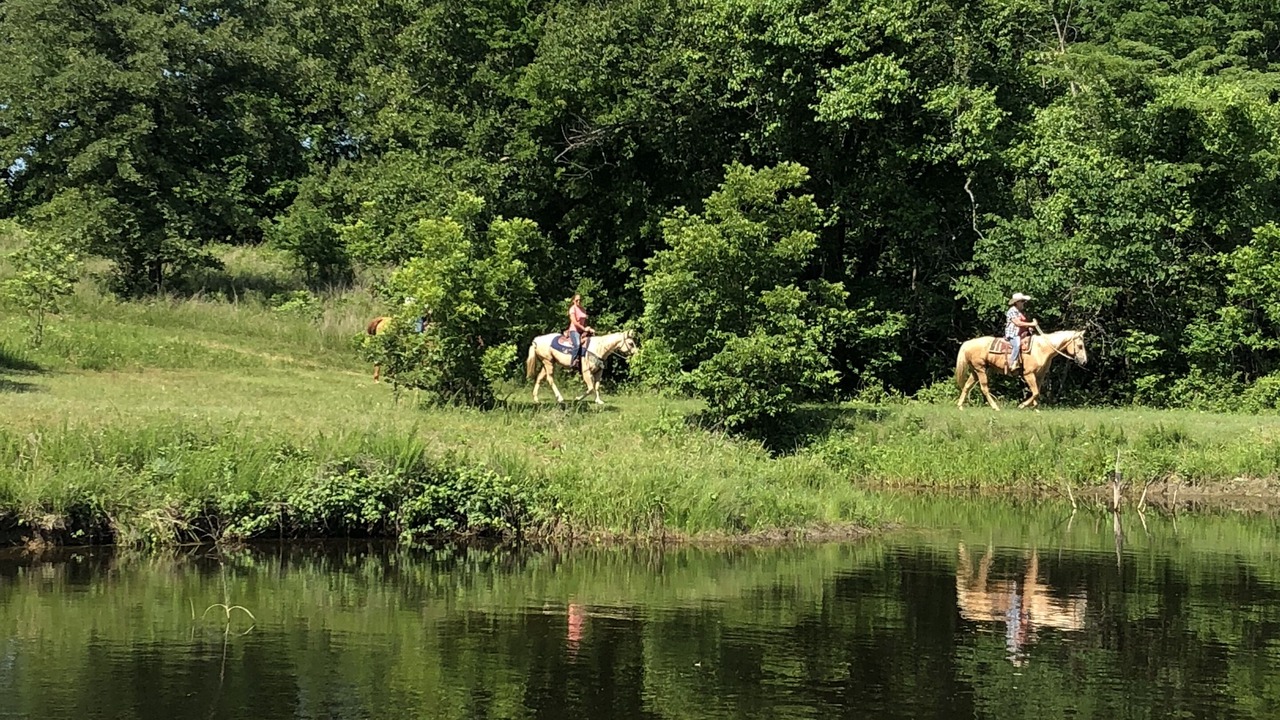 Photo of Outdoor in Fittstown