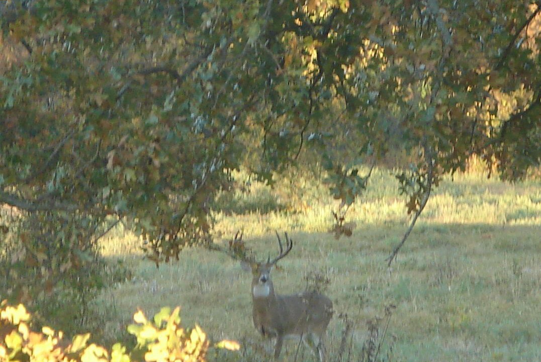 Photo of Outdoor in Fittstown