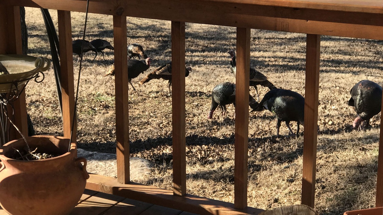 Photo of Outdoor in Fittstown