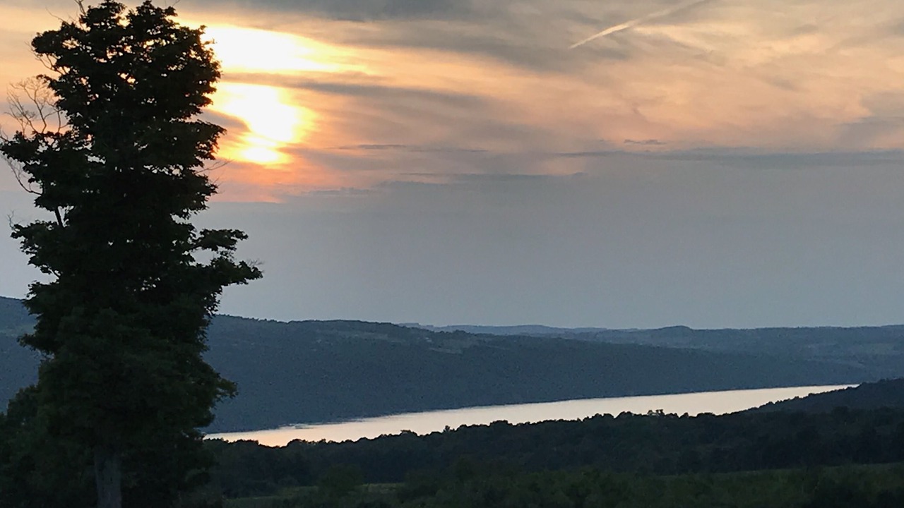 Photo of Others in Skaneateles