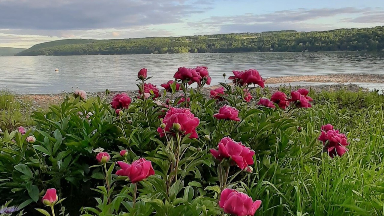 Photo of Outdoor in Skaneateles