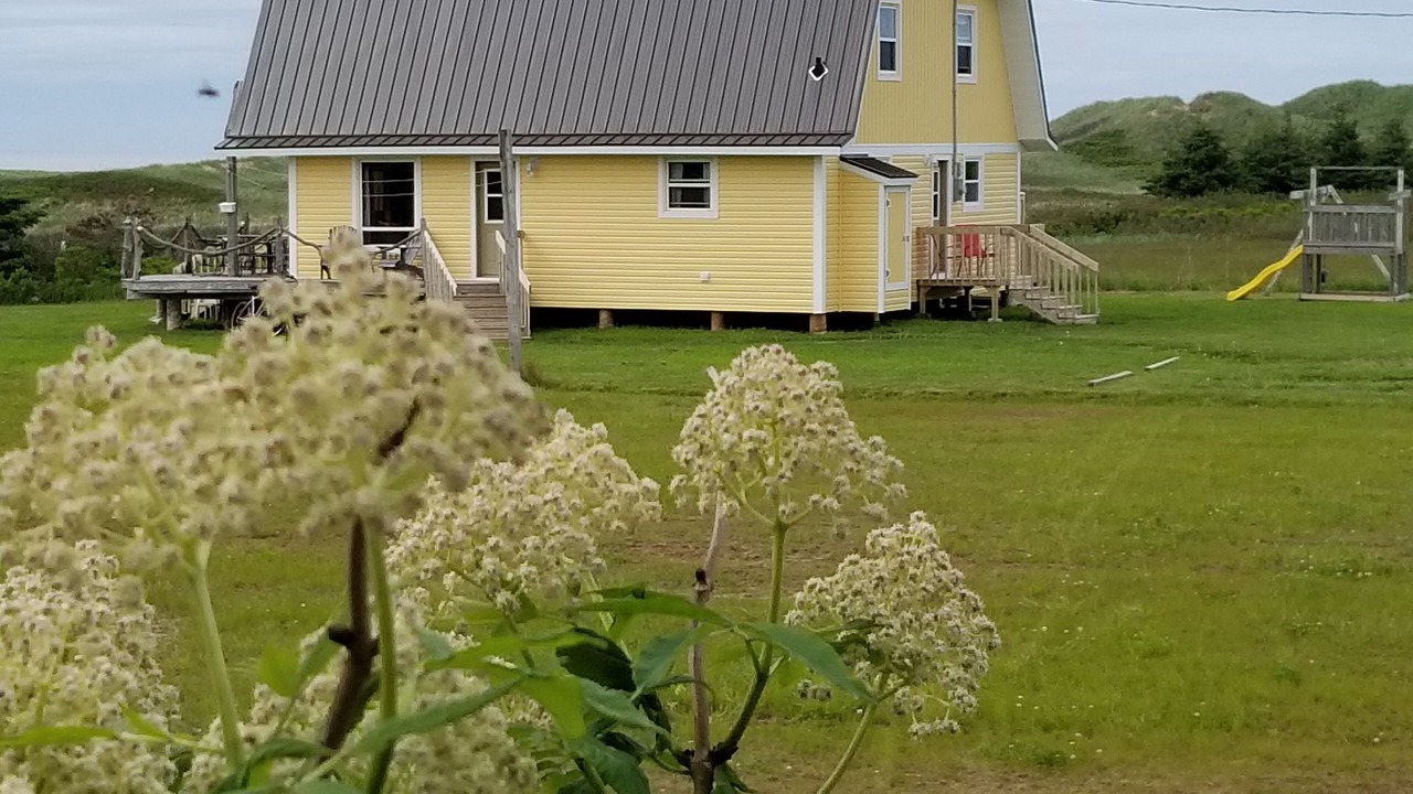 Photo of Others in Darnley