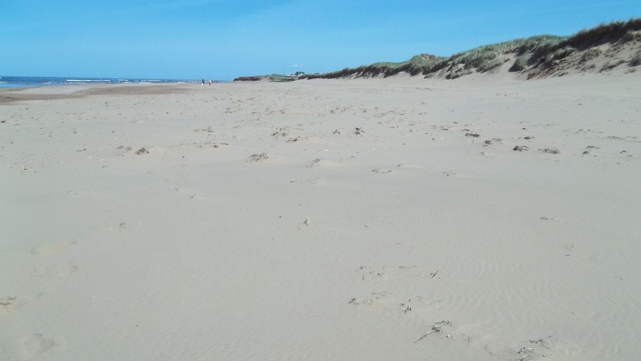 Photo of Others in Darnley