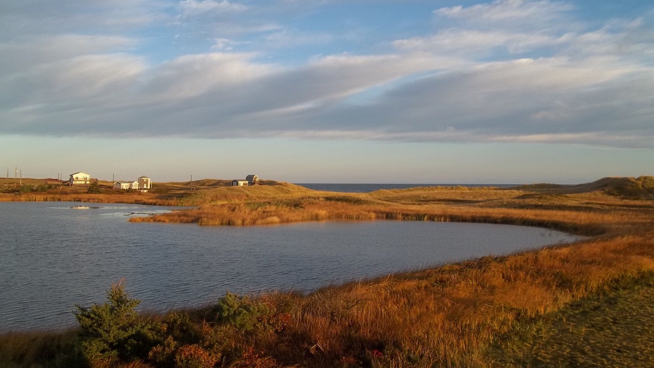 Photo of Others in Darnley