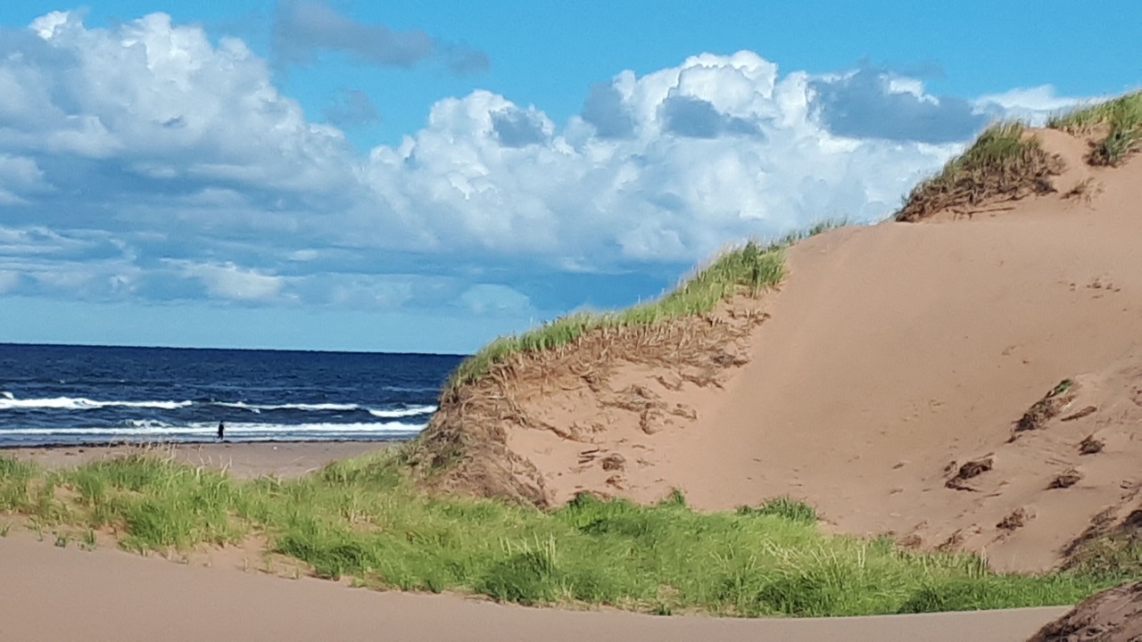 Photo of Others in Darnley