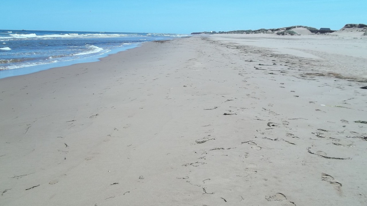 Photo of Others in Darnley