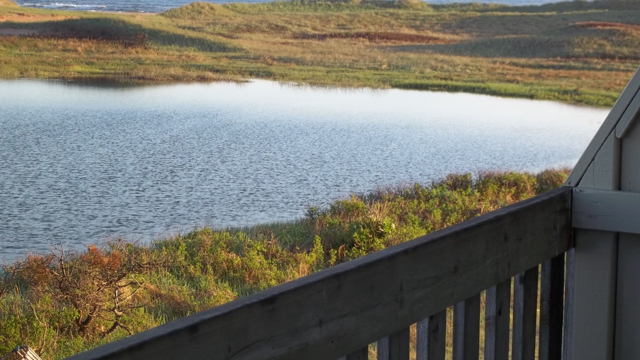 Photo of Others in Darnley