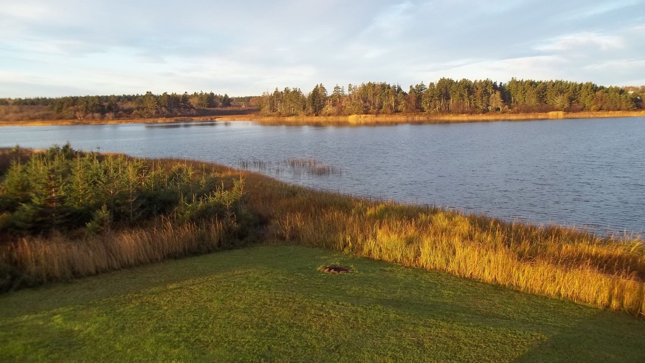 Photo of Others in Darnley