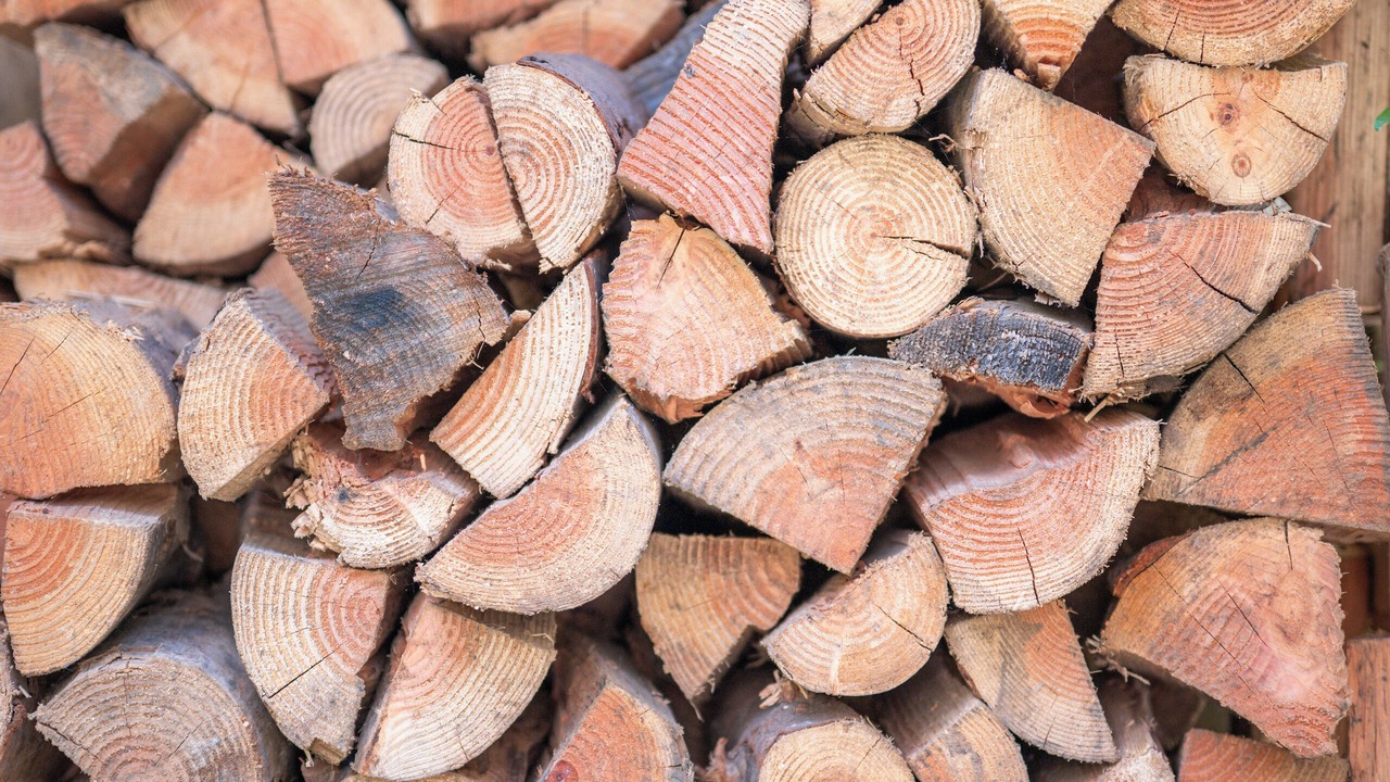 Photo of Others in Rangipo