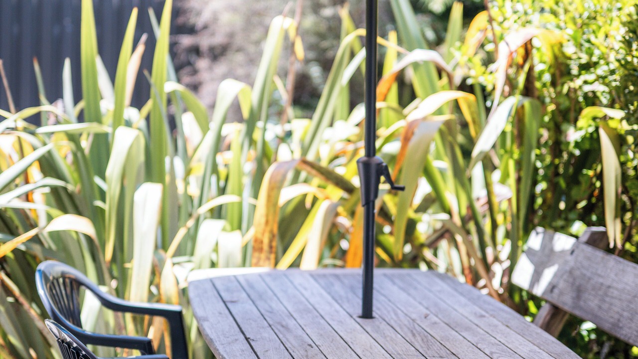 Photo of Outdoor in Rangipo