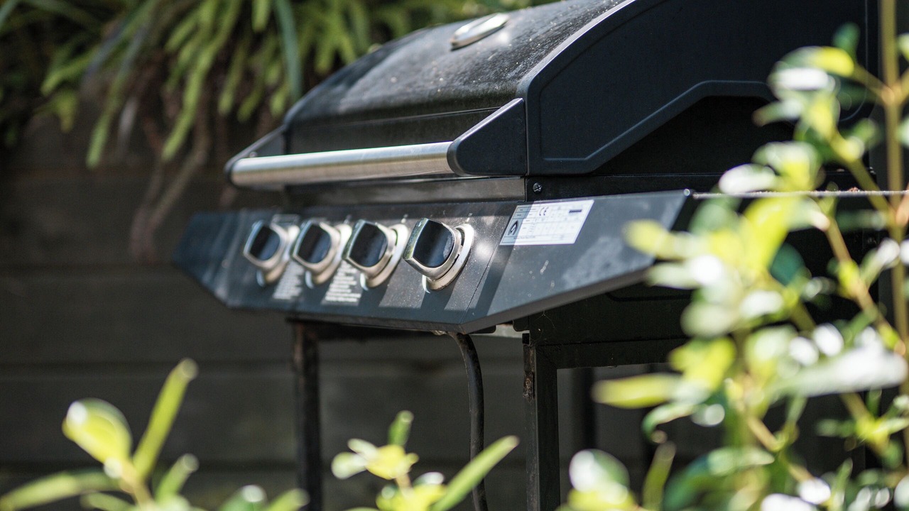 Photo of Outdoor in Rangipo