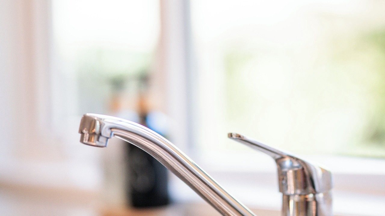 Photo of Others in Rangipo