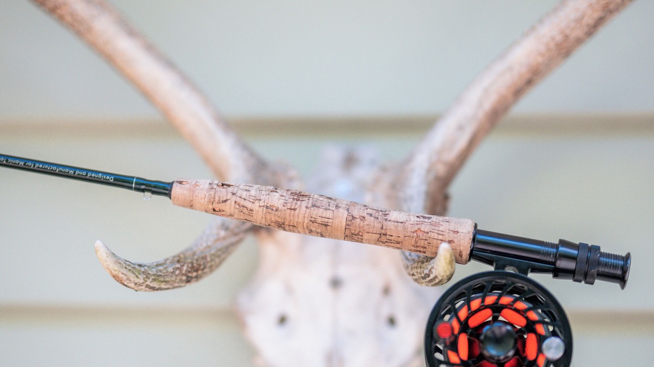 Photo of Others in Rangipo