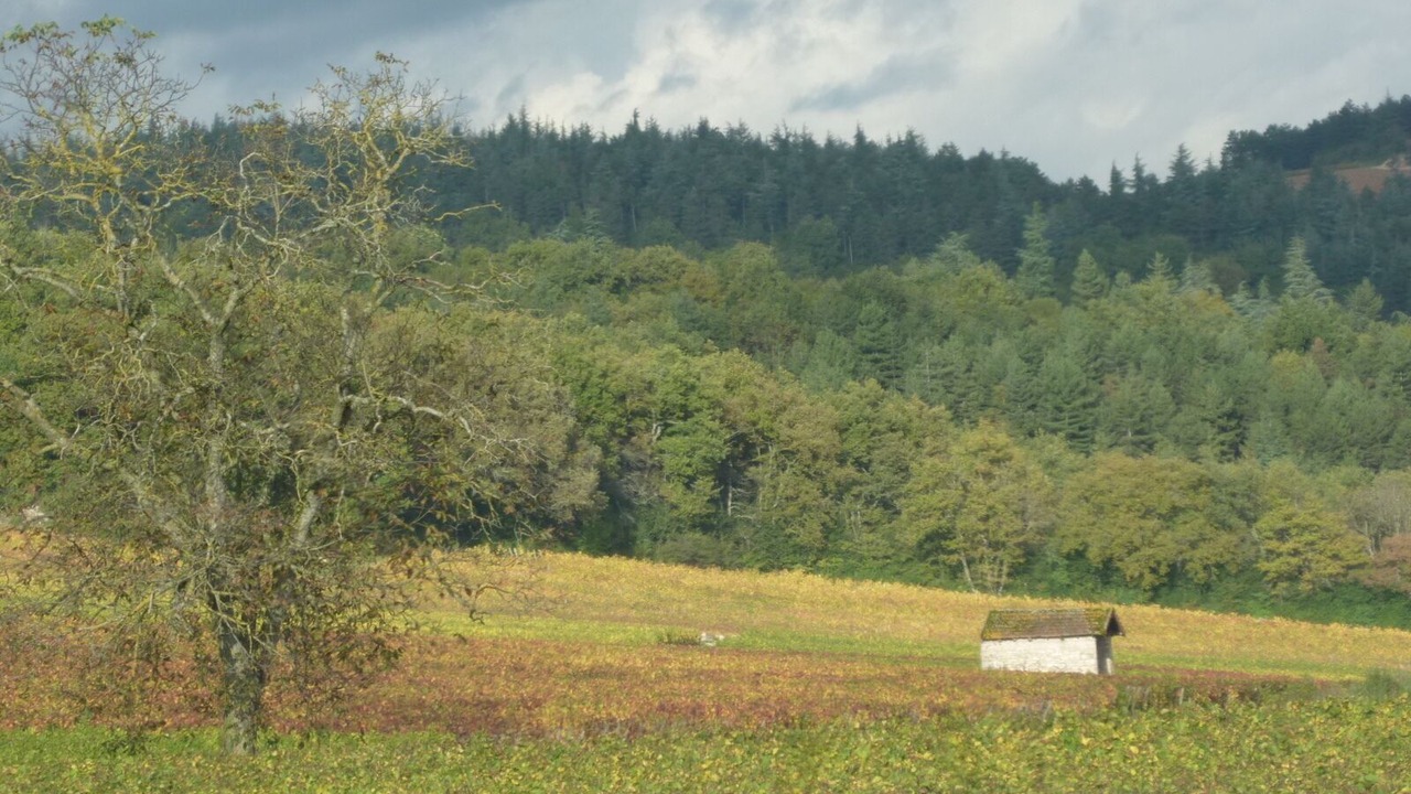 Photo of Outdoor in Fragnes
