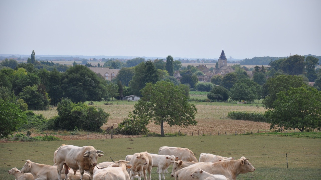 Photo of Outdoor in Fragnes