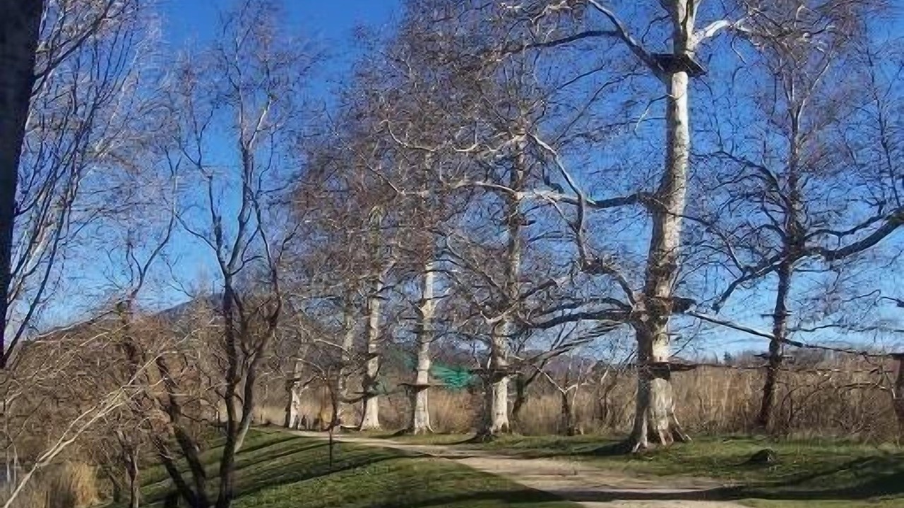 Photo of Outdoor in Saint-Jean-Pla-de-Corts