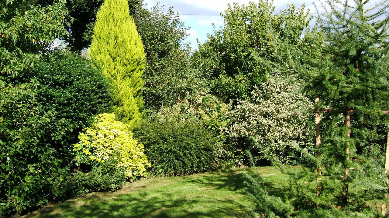 Photo of Outdoor in Arelaune-en-Seine
