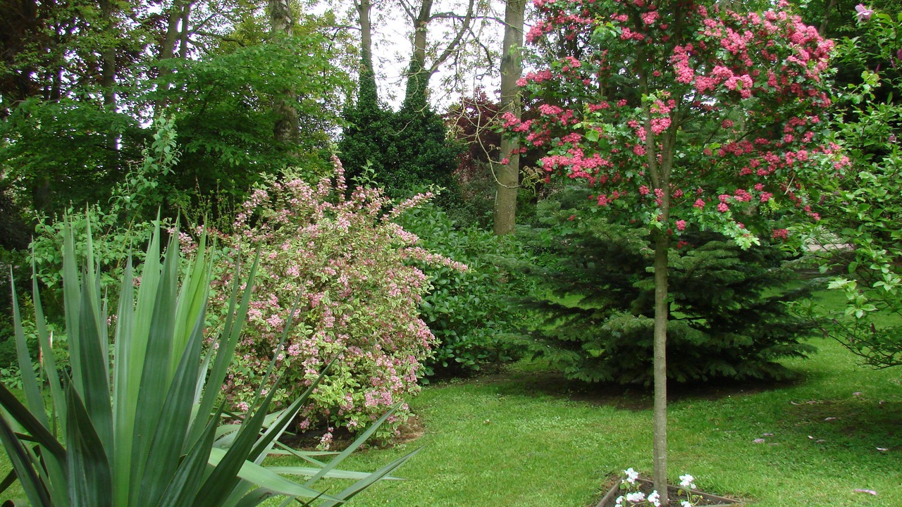Photo of Outdoor in Arelaune-en-Seine