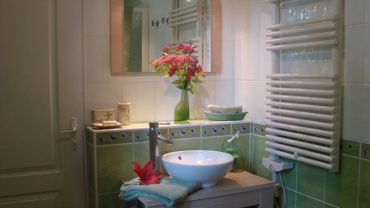 Photo of Bathroom in Arelaune-en-Seine