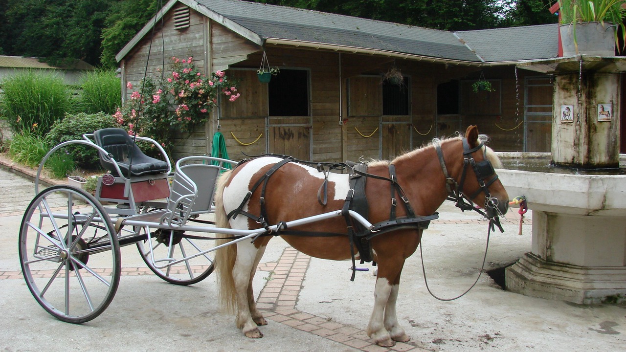 Photo of Outdoor in Arelaune-en-Seine