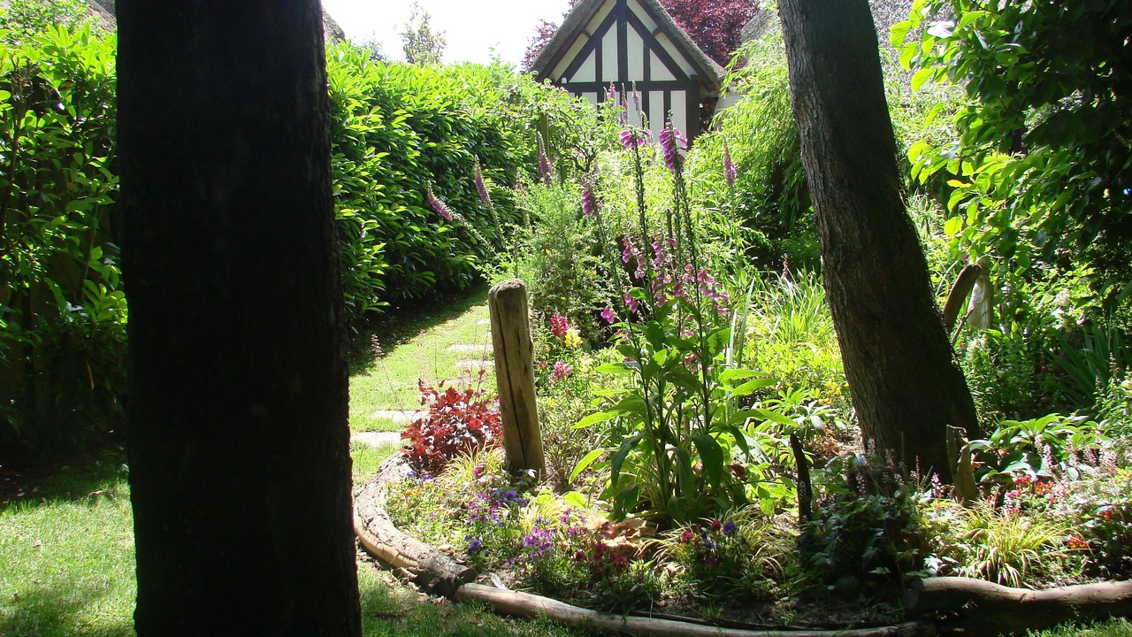 Photo of Outdoor in Arelaune-en-Seine
