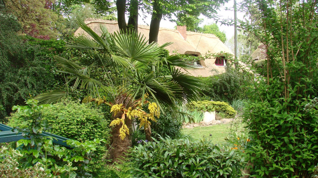 Photo of Outdoor in Arelaune-en-Seine