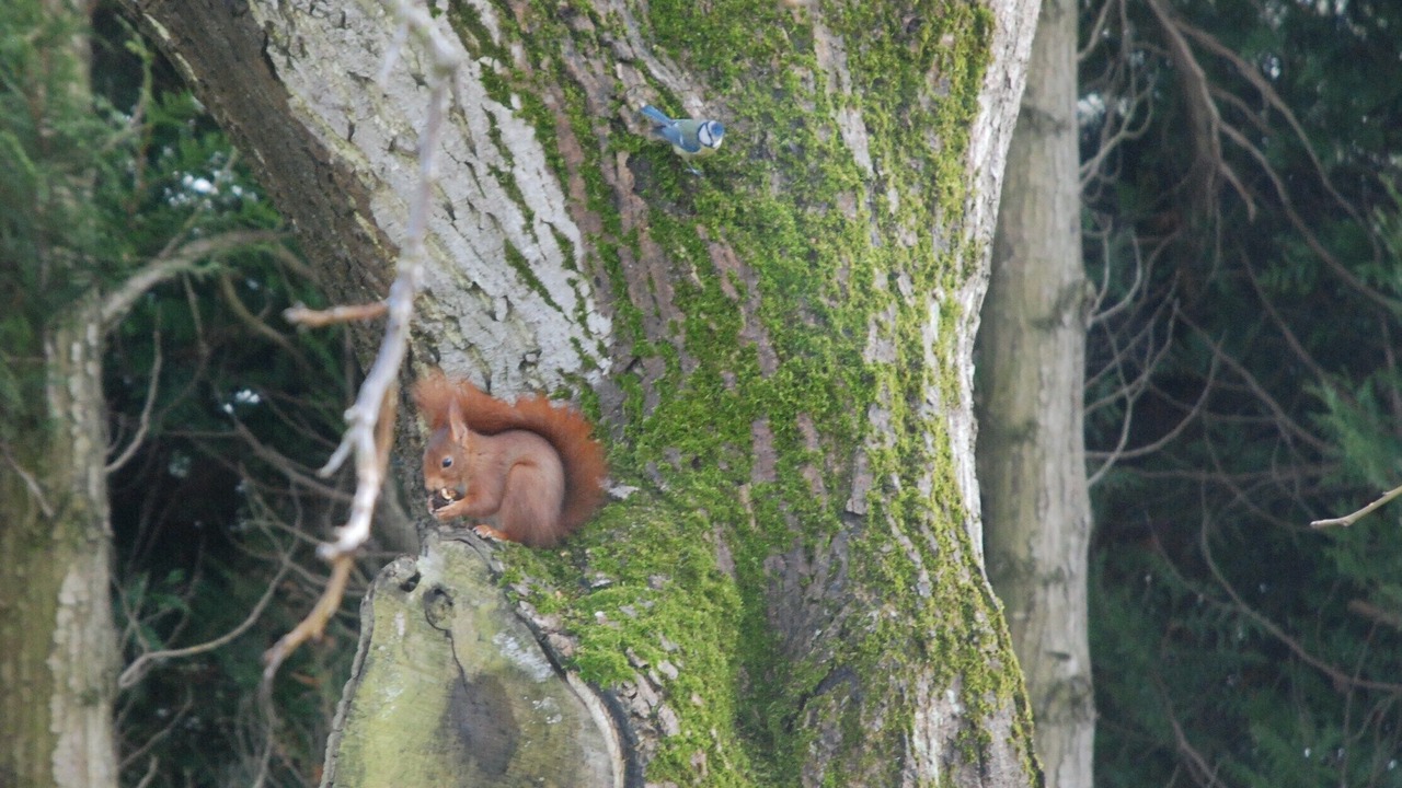 Photo of Outdoor in Saint-Leu-dEsserent