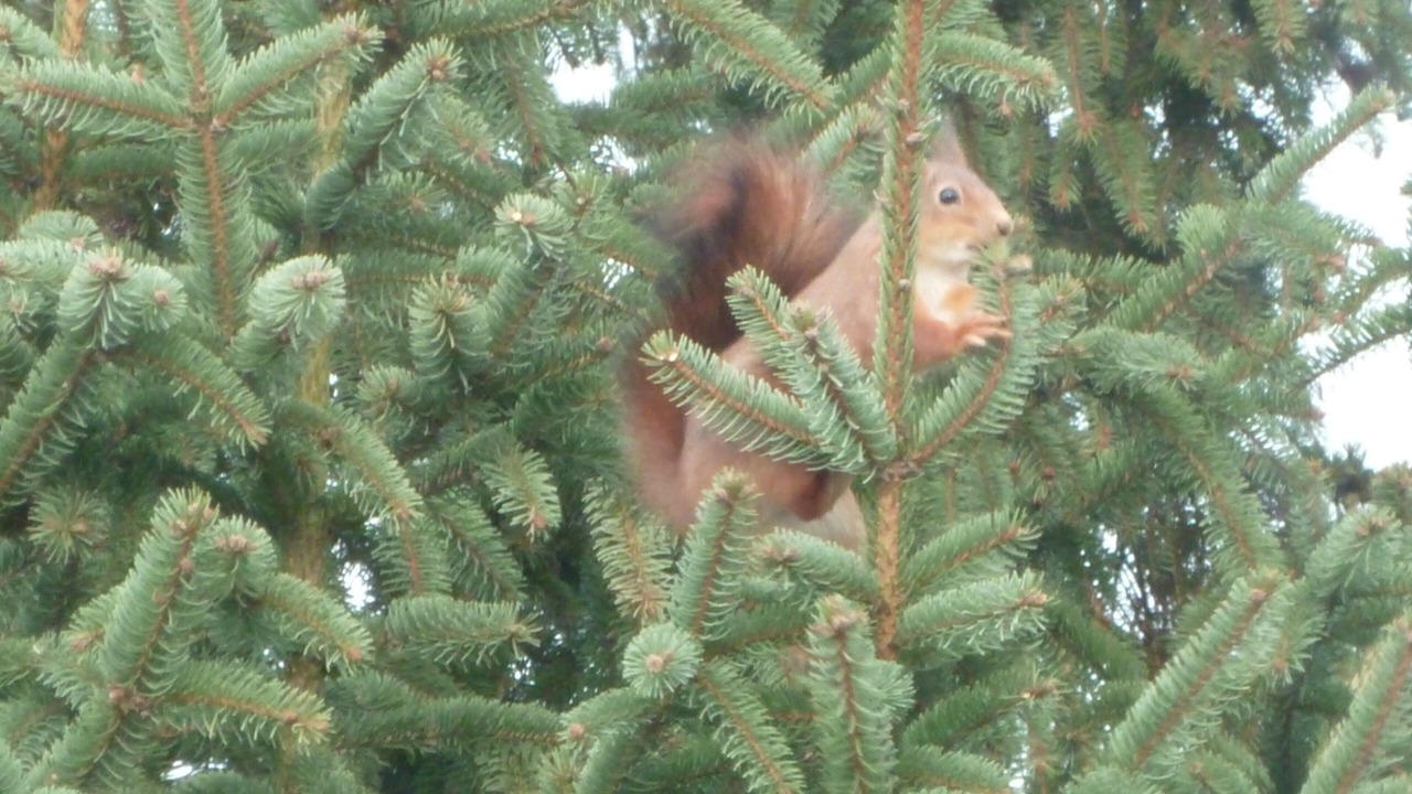Photo of Outdoor in Saint-Leu-dEsserent
