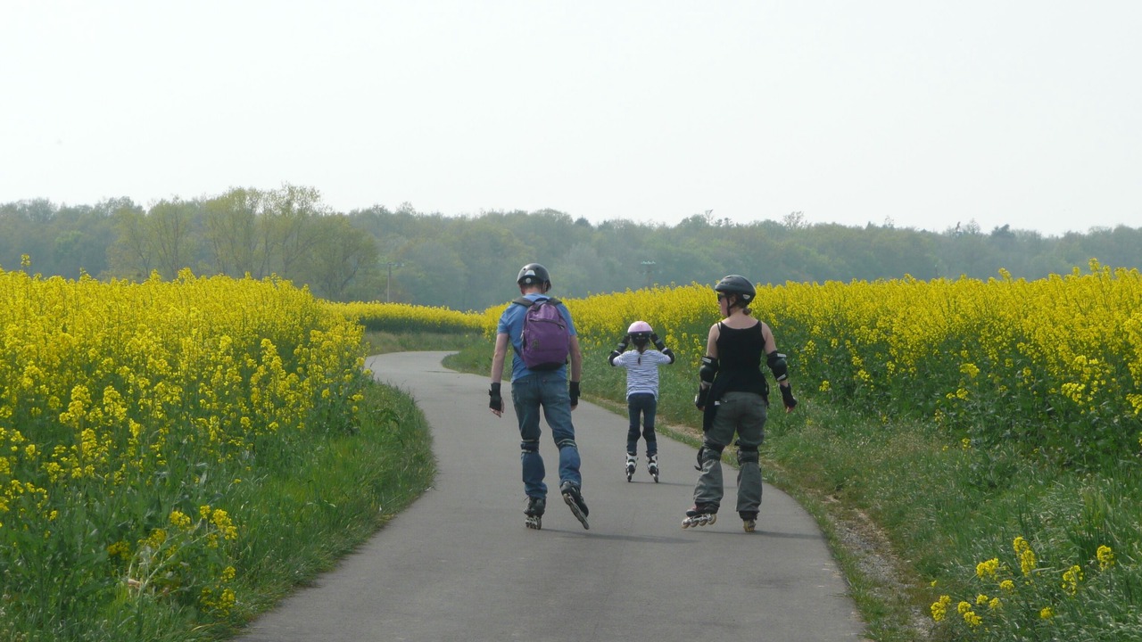Photo of Others in Ande