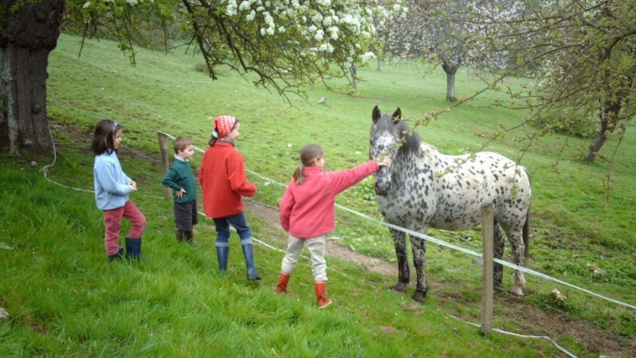 Photo of Outdoor in Gonneville-sur-Honfleur