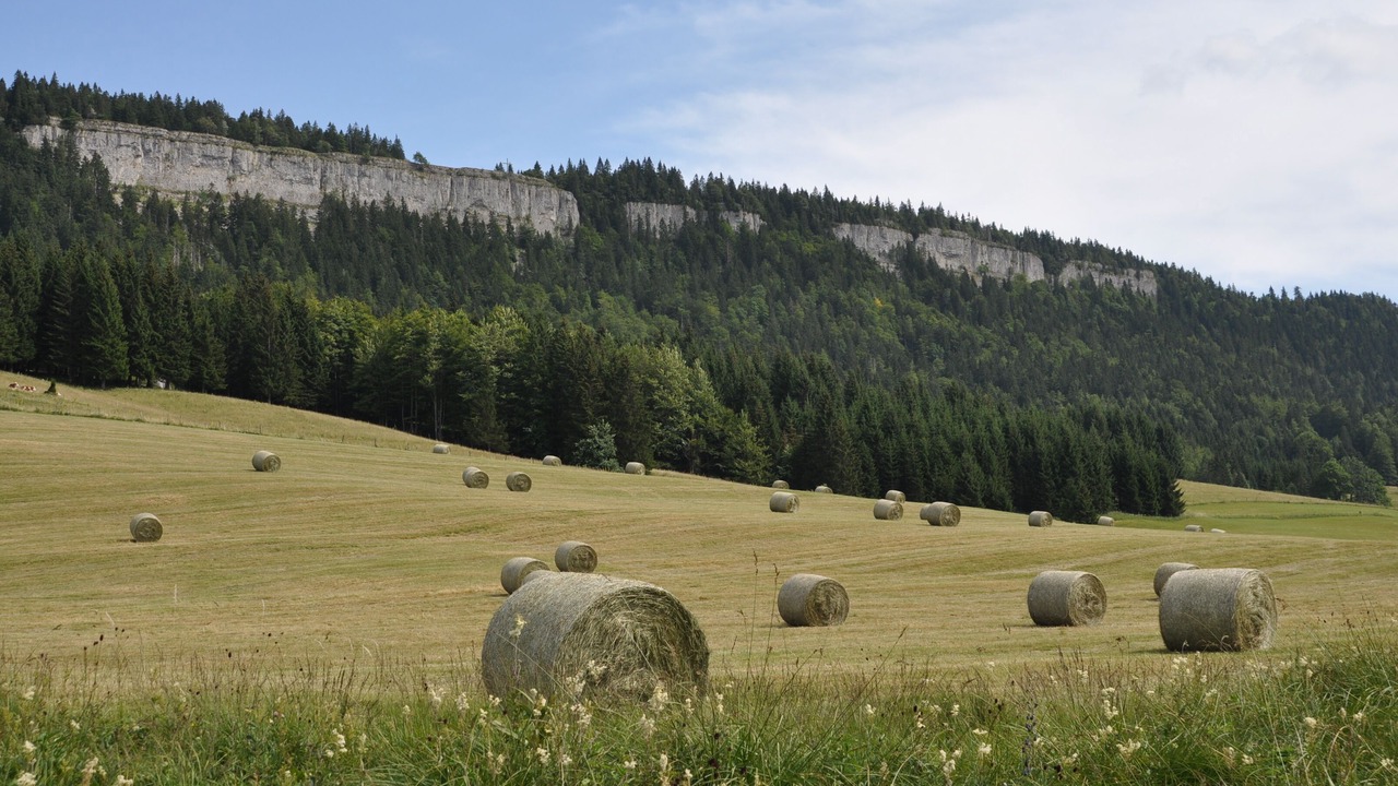Photo of Others in Chapelle-des-Bois