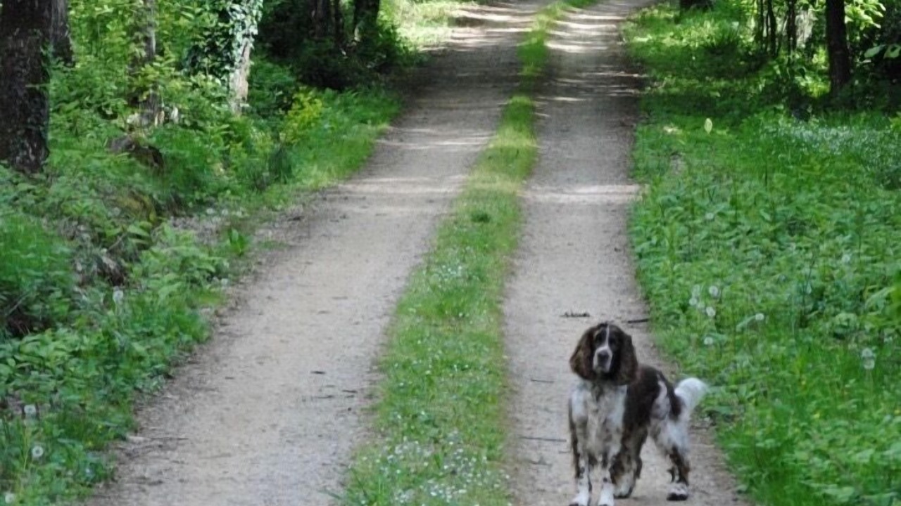 Photo of Outdoor in Bazouges-sur-le-Loir