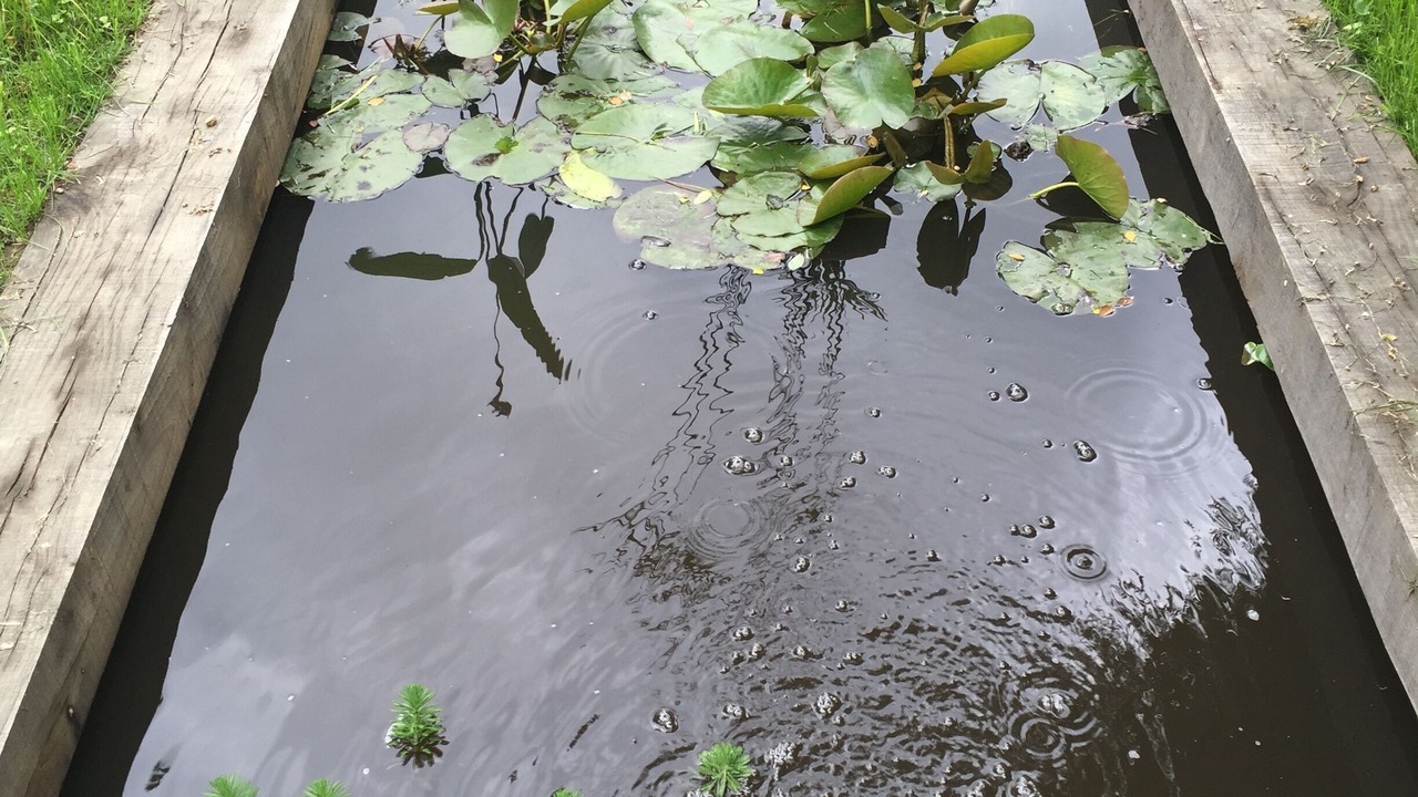 Photo of Outdoor in Hede