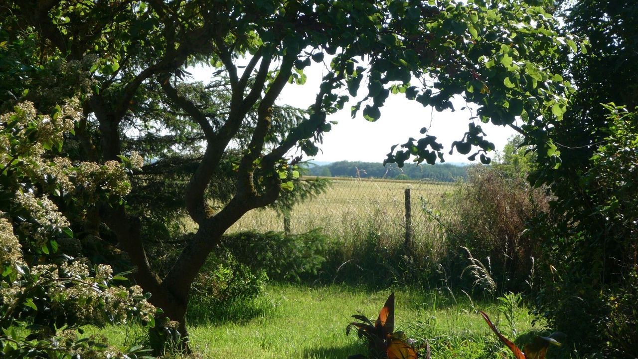 Photo of Outdoor in Avignonet-Lauragais