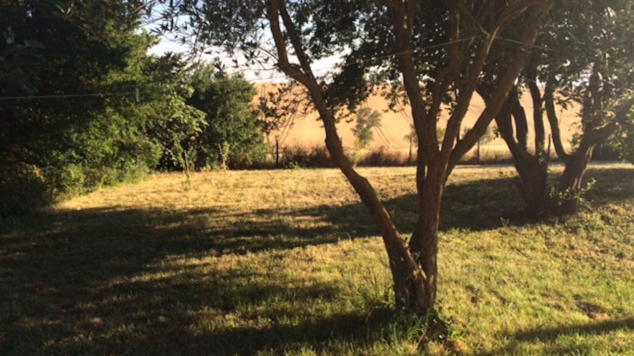 Photo of Outdoor in Avignonet-Lauragais