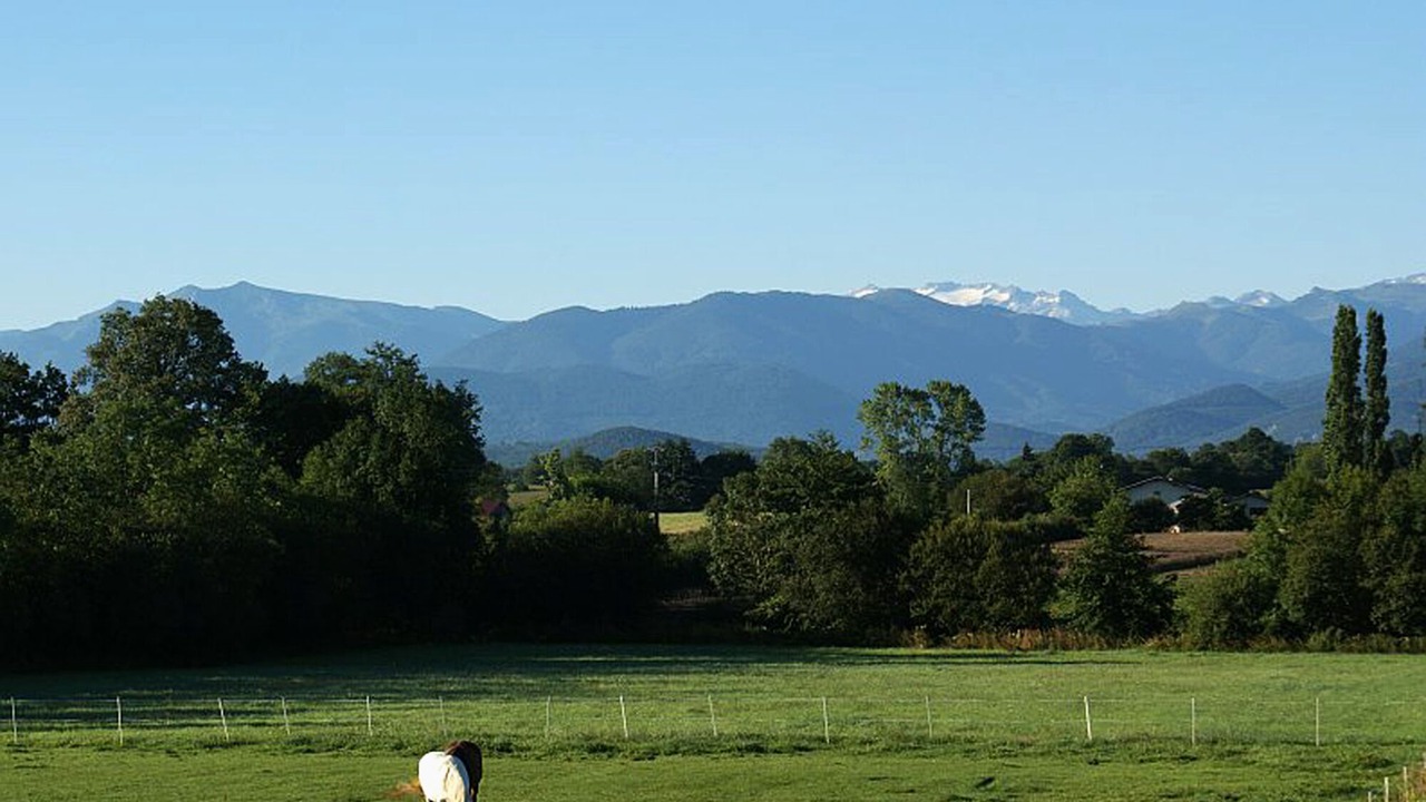 Photo of Others in Franquevielle