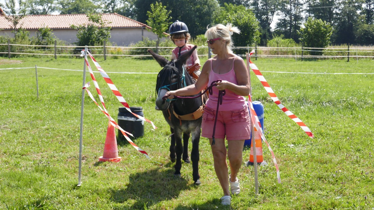 Photo of Others in Franquevielle