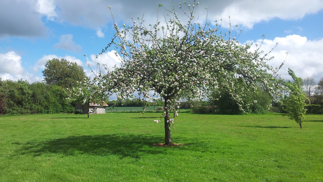 Photo of Others in Epaignes