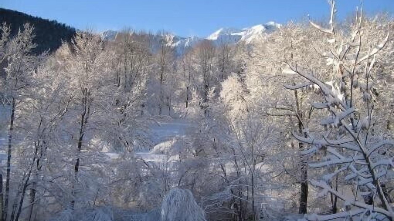 Photo of Others in Garin