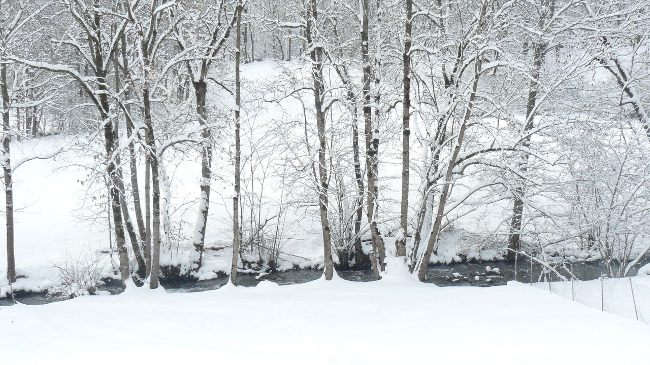 Photo of Others in Garin