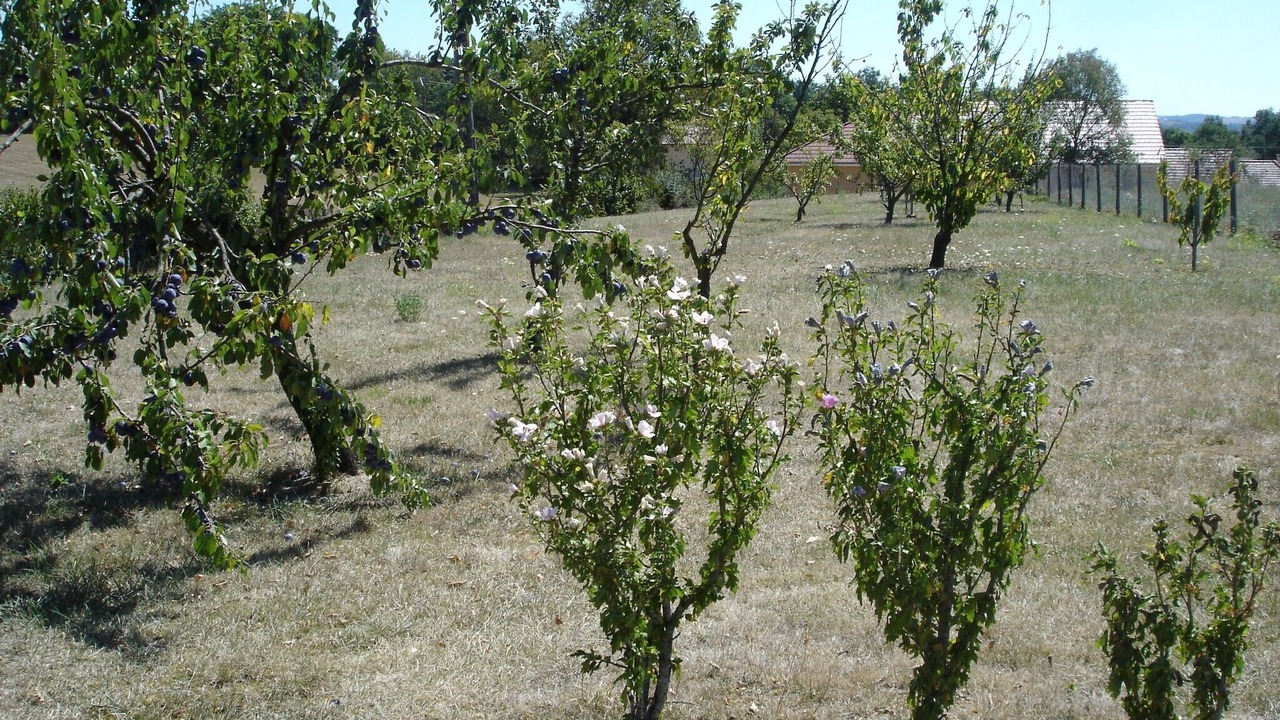 Photo of Outdoor in Villeneuve d'Aveyron