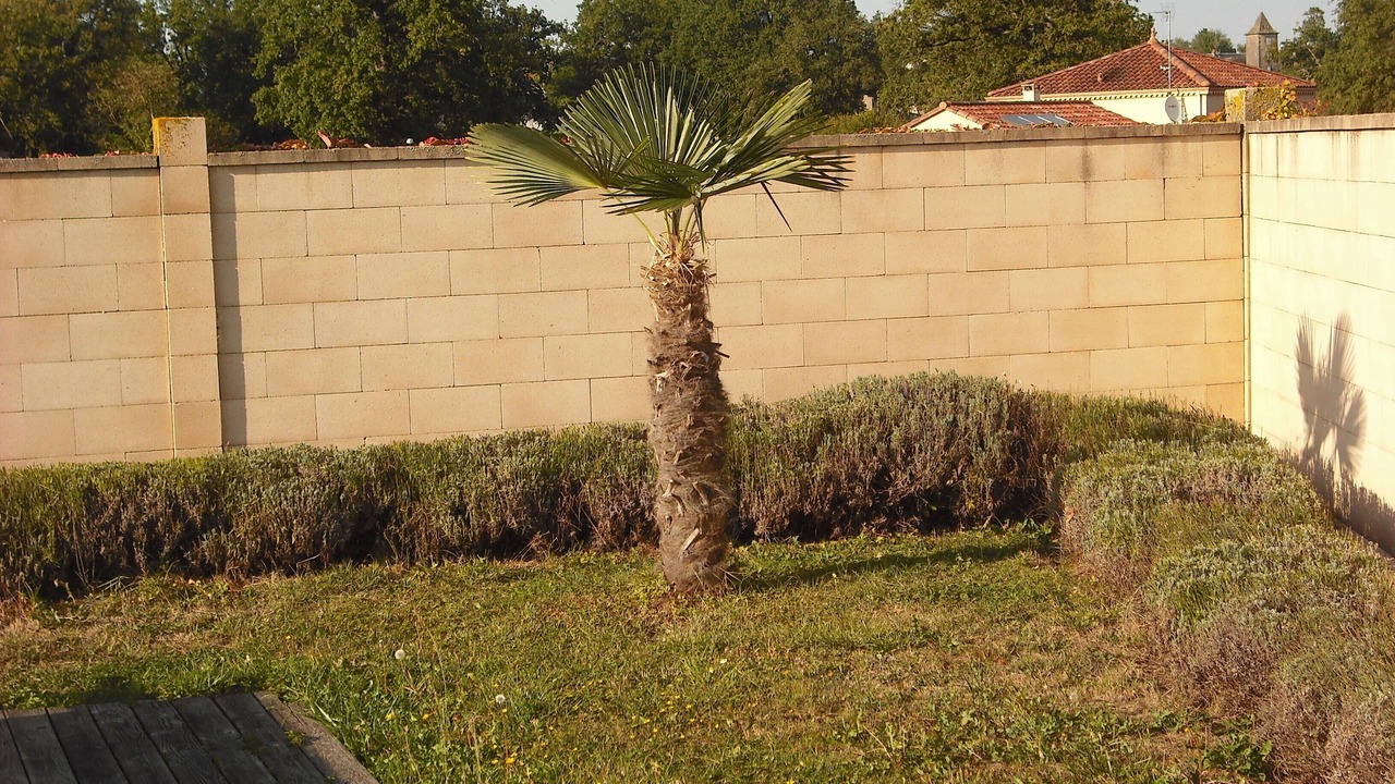 Photo of Outdoor in Lanuejouls