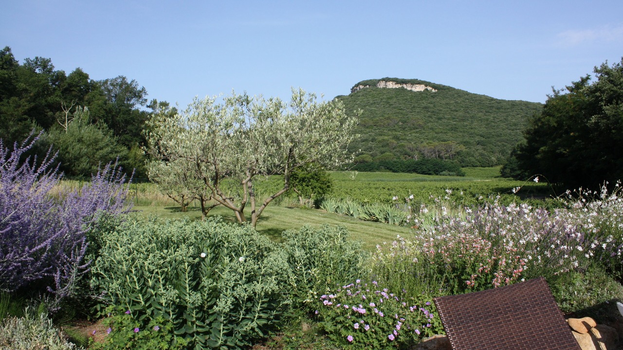 Photo of Outdoor in La Roque-sur-Ceze