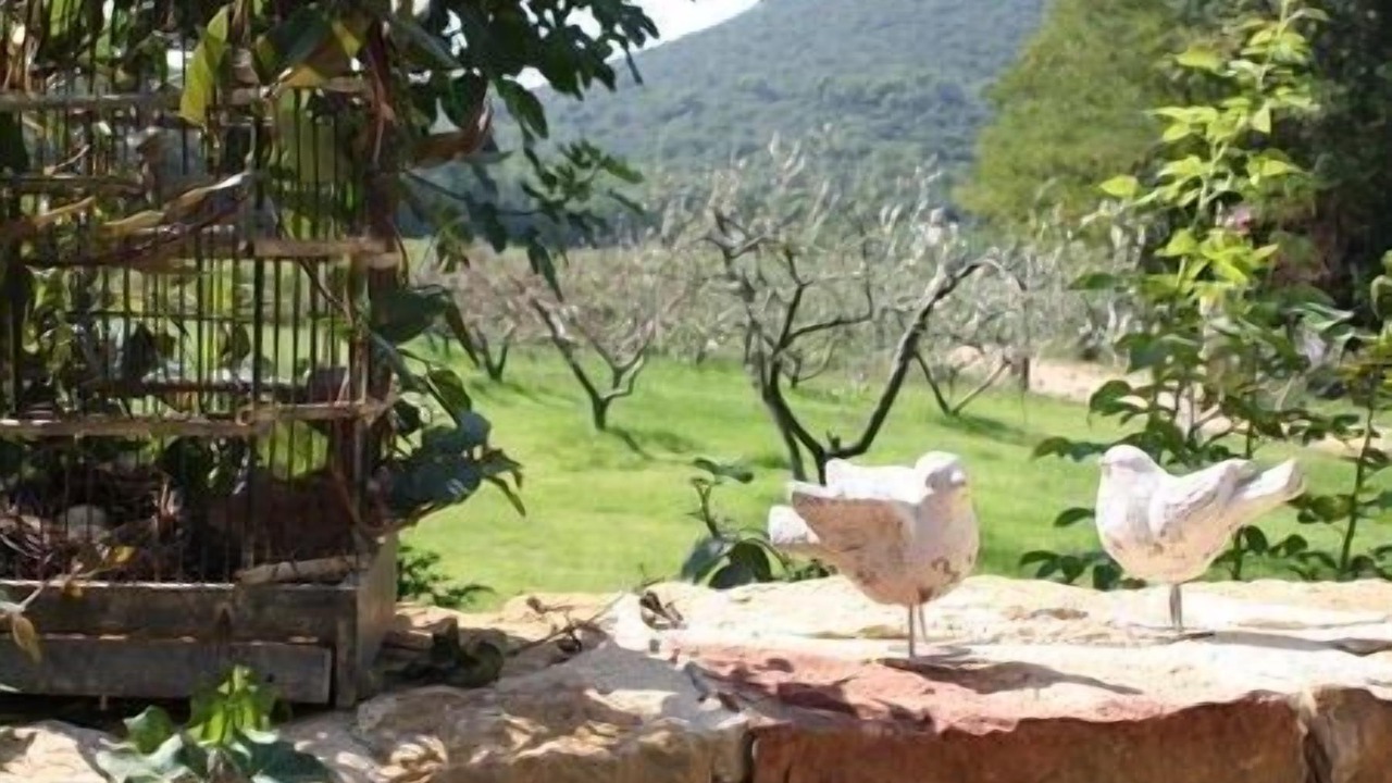 Photo of Outdoor in La Roque-sur-Ceze