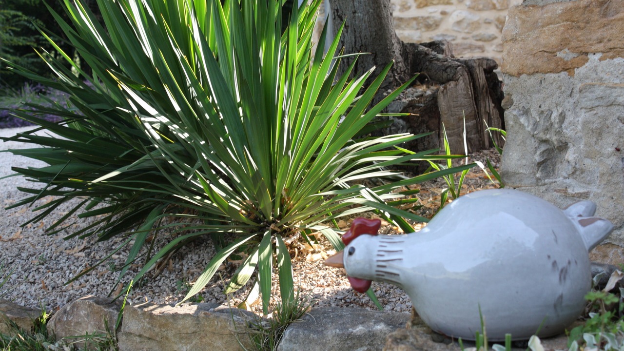 Photo of Outdoor in La Roque-sur-Ceze