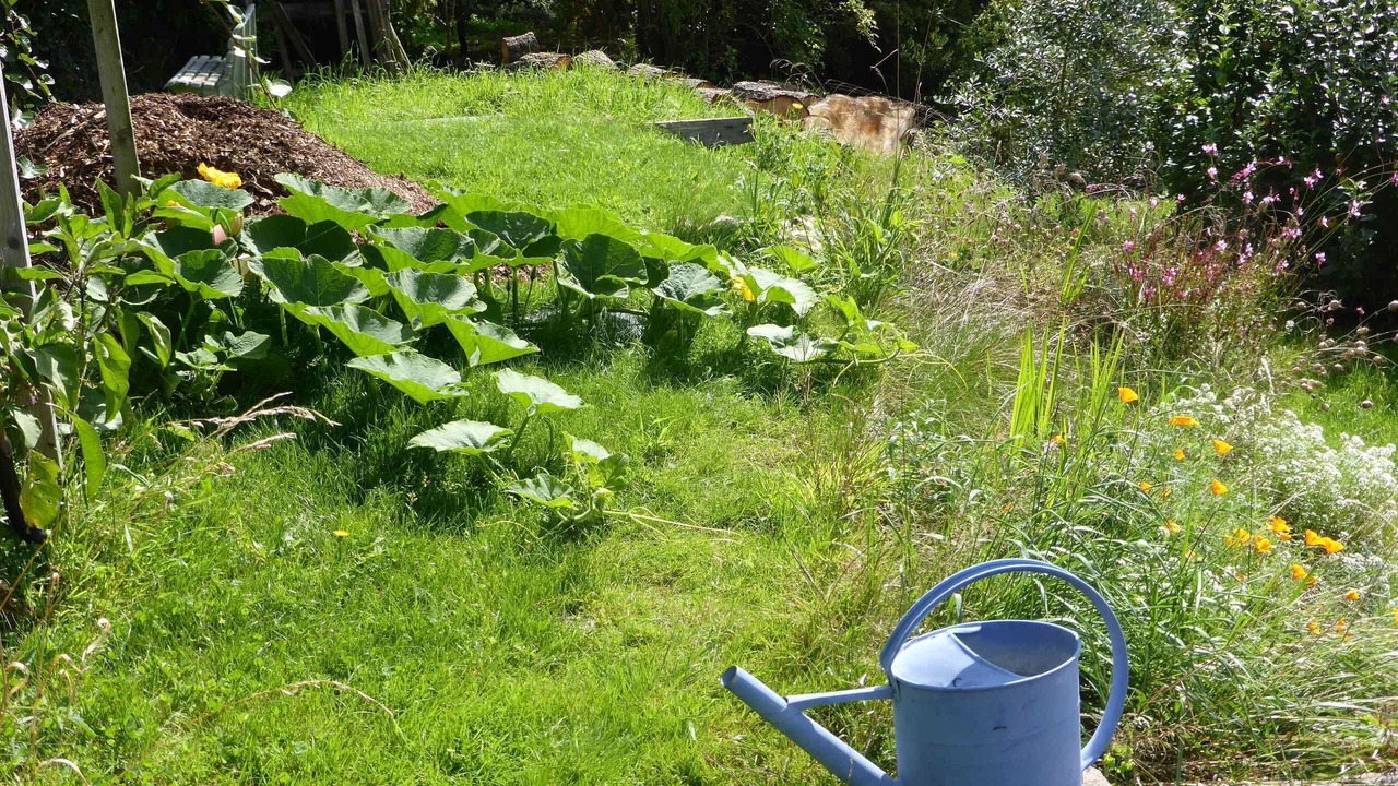 Photo of Outdoor in Saint-Germain-sur-Ille