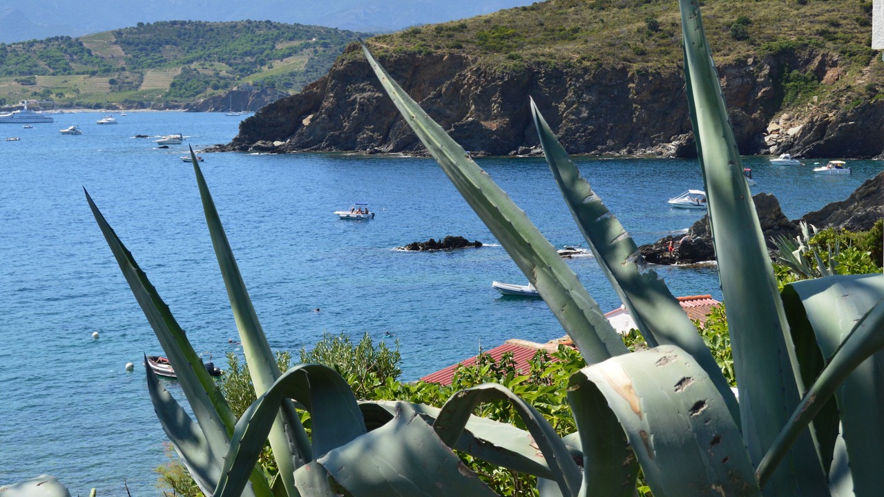 Photo of Outdoor in Argeles-sur-Mer