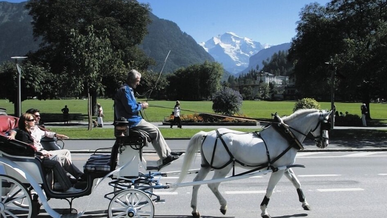 Photo of Others in Central Interlaken