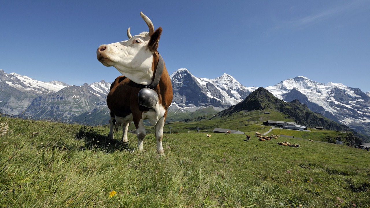 Photo of Outdoor in Central Interlaken